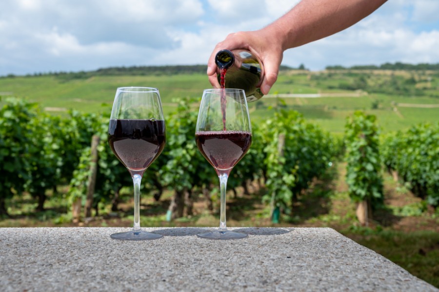 Quel vin pour mettre dans le bœuf bourguignon ?