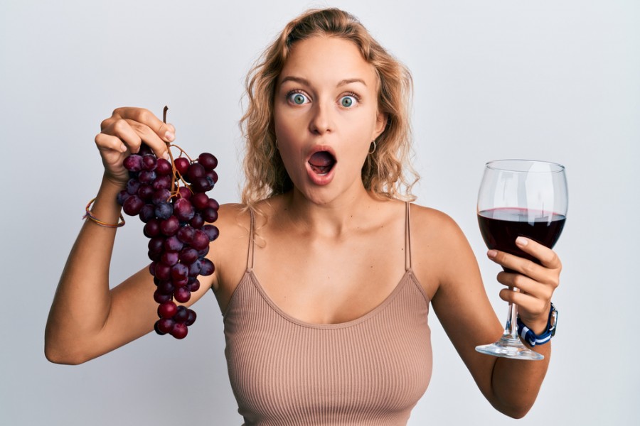 Qu'est-ce qu'un vin tannique ?